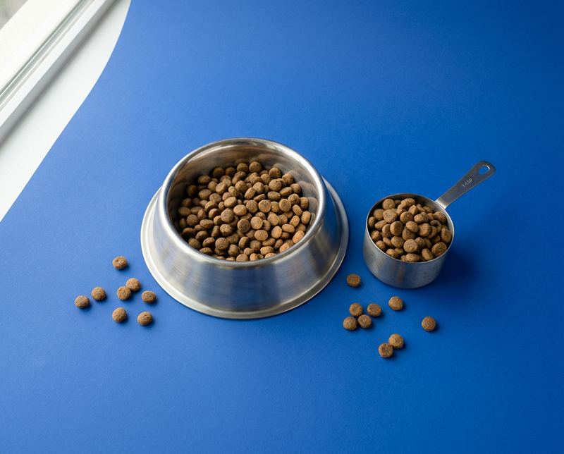 A steel bowl and a measuring cup of kibble